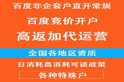 某某SEM服务公司如何帮助企业实现ROI最大化